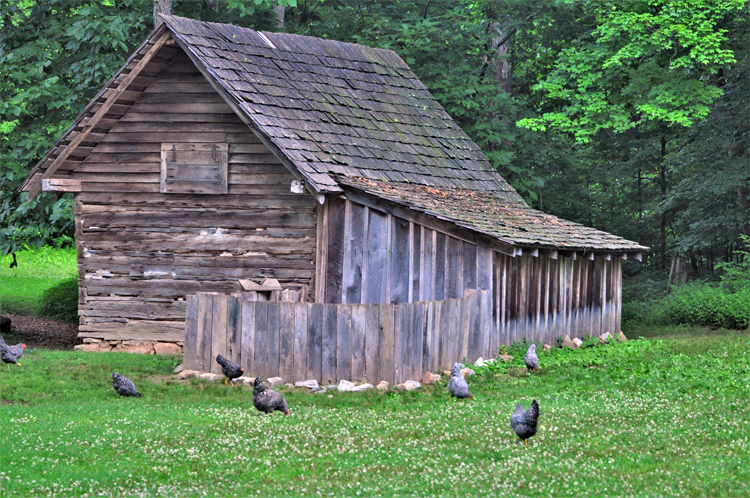 working farm